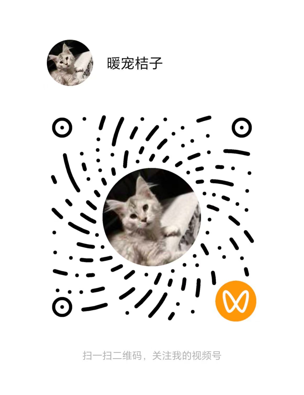 暖宠视频号二维码