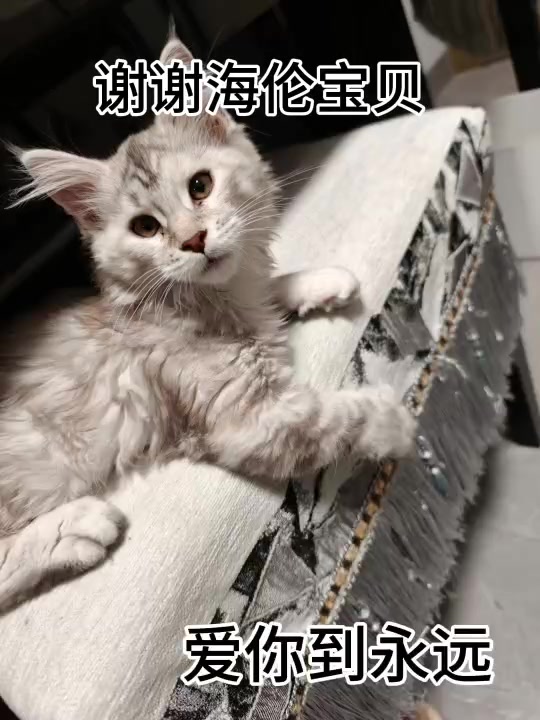 小时候的海伦
