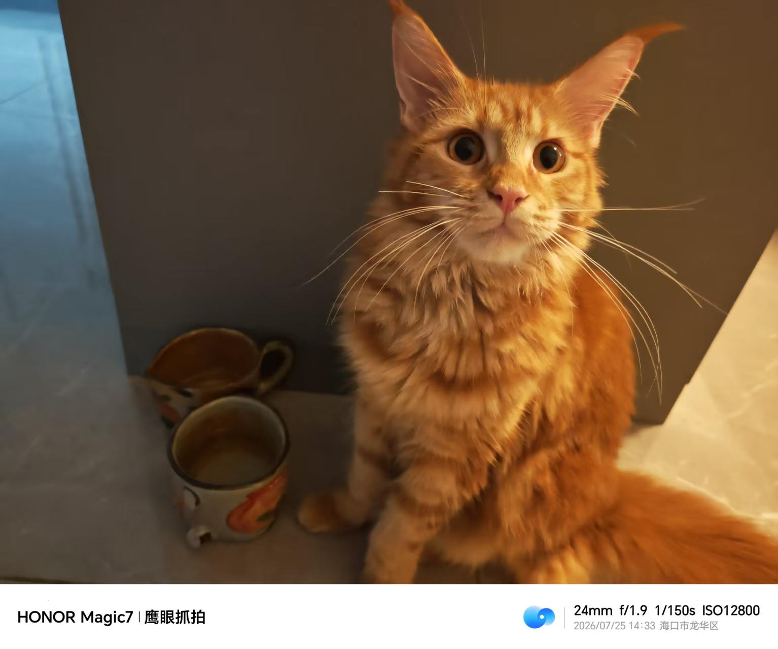 长大后的小红薯